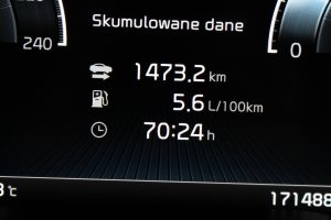 IMG_4231